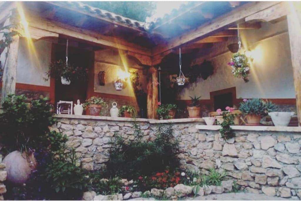 Oasis De Ifre Villa Caserío Cañada de Gallego Dış mekan fotoğraf