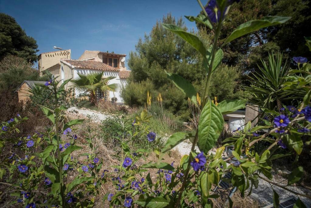 Oasis De Ifre Villa Caserío Cañada de Gallego Dış mekan fotoğraf
