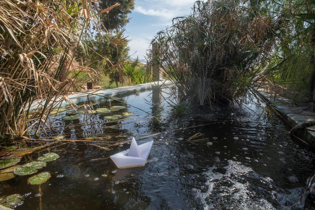 Oasis De Ifre Villa Caserío Cañada de Gallego Dış mekan fotoğraf