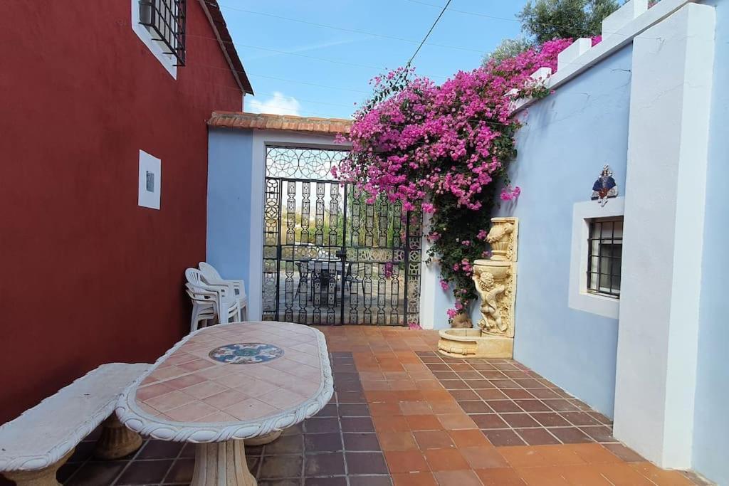 Oasis De Ifre Villa Caserío Cañada de Gallego Dış mekan fotoğraf