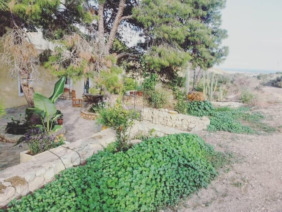 Oasis De Ifre Villa Caserío Cañada de Gallego Dış mekan fotoğraf
