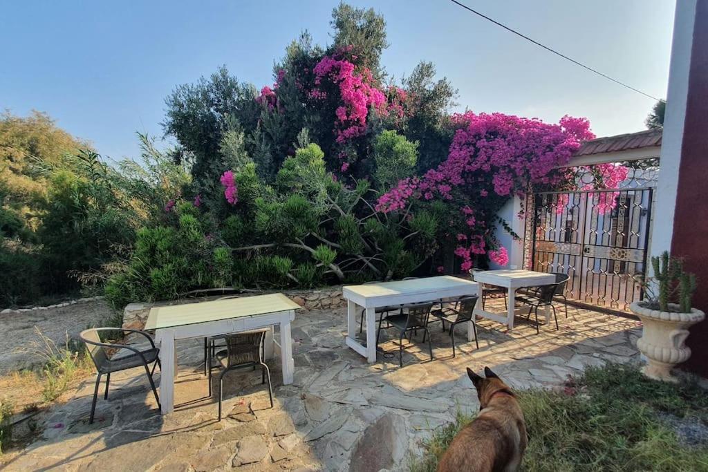 Oasis De Ifre Villa Caserío Cañada de Gallego Dış mekan fotoğraf