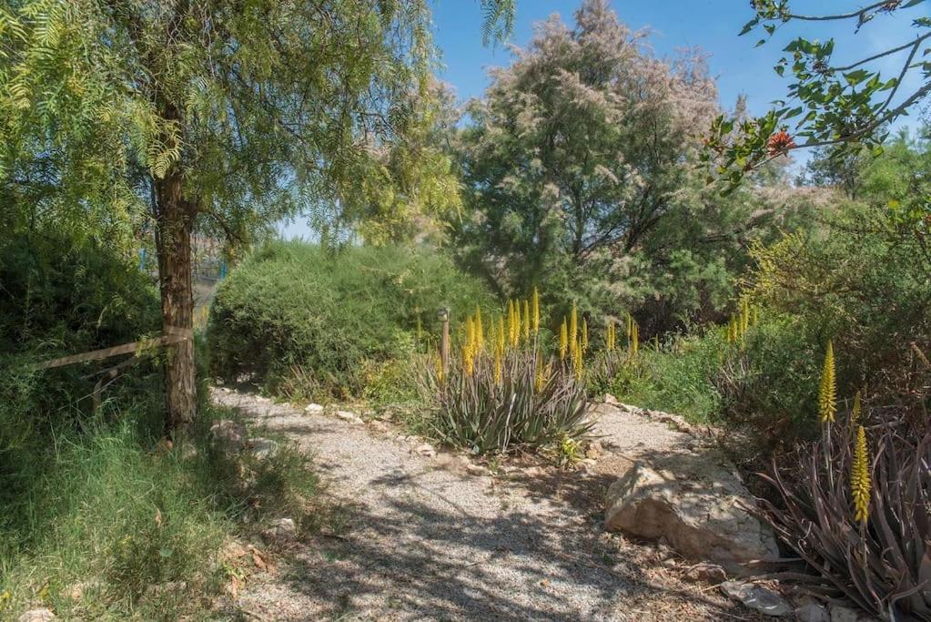 Oasis De Ifre Villa Caserío Cañada de Gallego Dış mekan fotoğraf