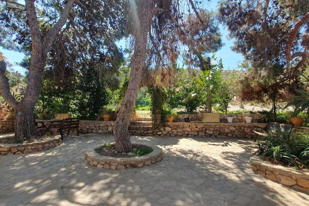 Oasis De Ifre Villa Caserío Cañada de Gallego Dış mekan fotoğraf