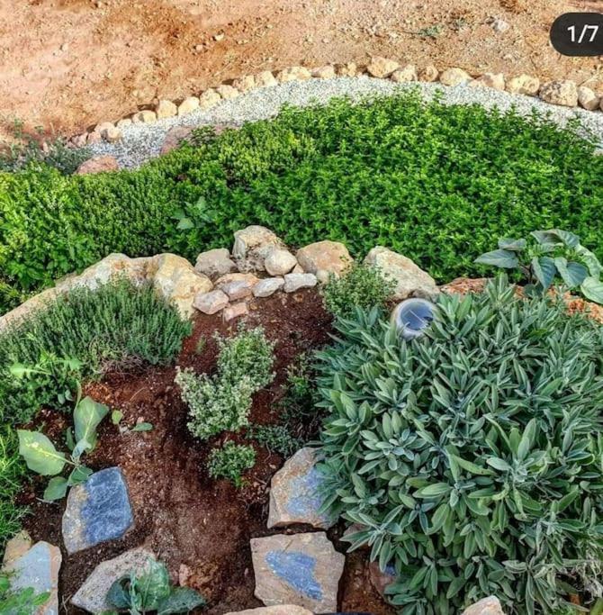 Oasis De Ifre Villa Caserío Cañada de Gallego Dış mekan fotoğraf