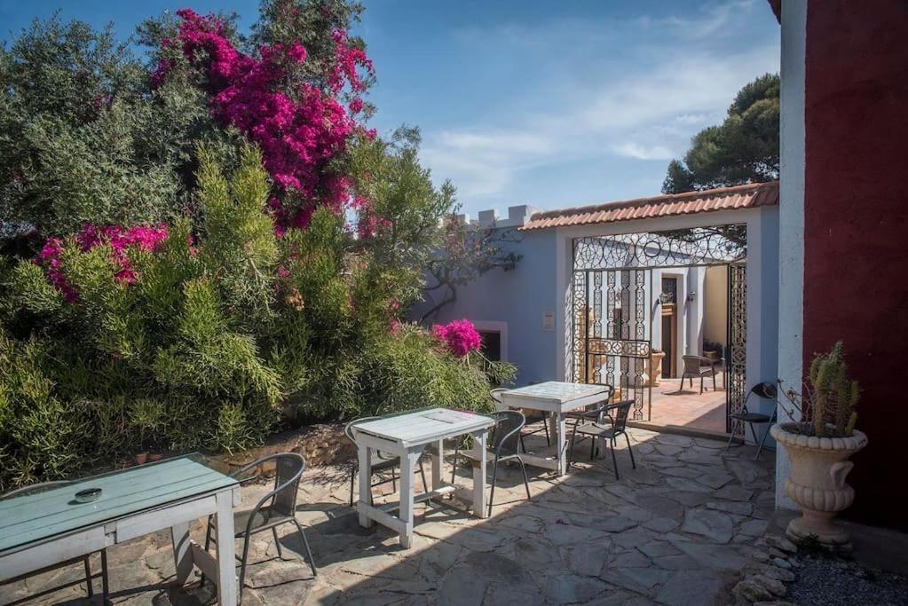 Oasis De Ifre Villa Caserío Cañada de Gallego Dış mekan fotoğraf