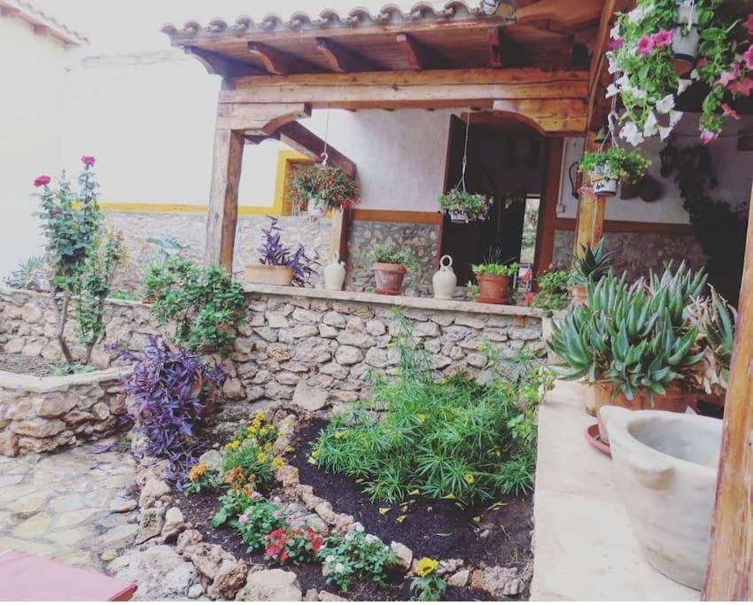 Oasis De Ifre Villa Caserío Cañada de Gallego Dış mekan fotoğraf